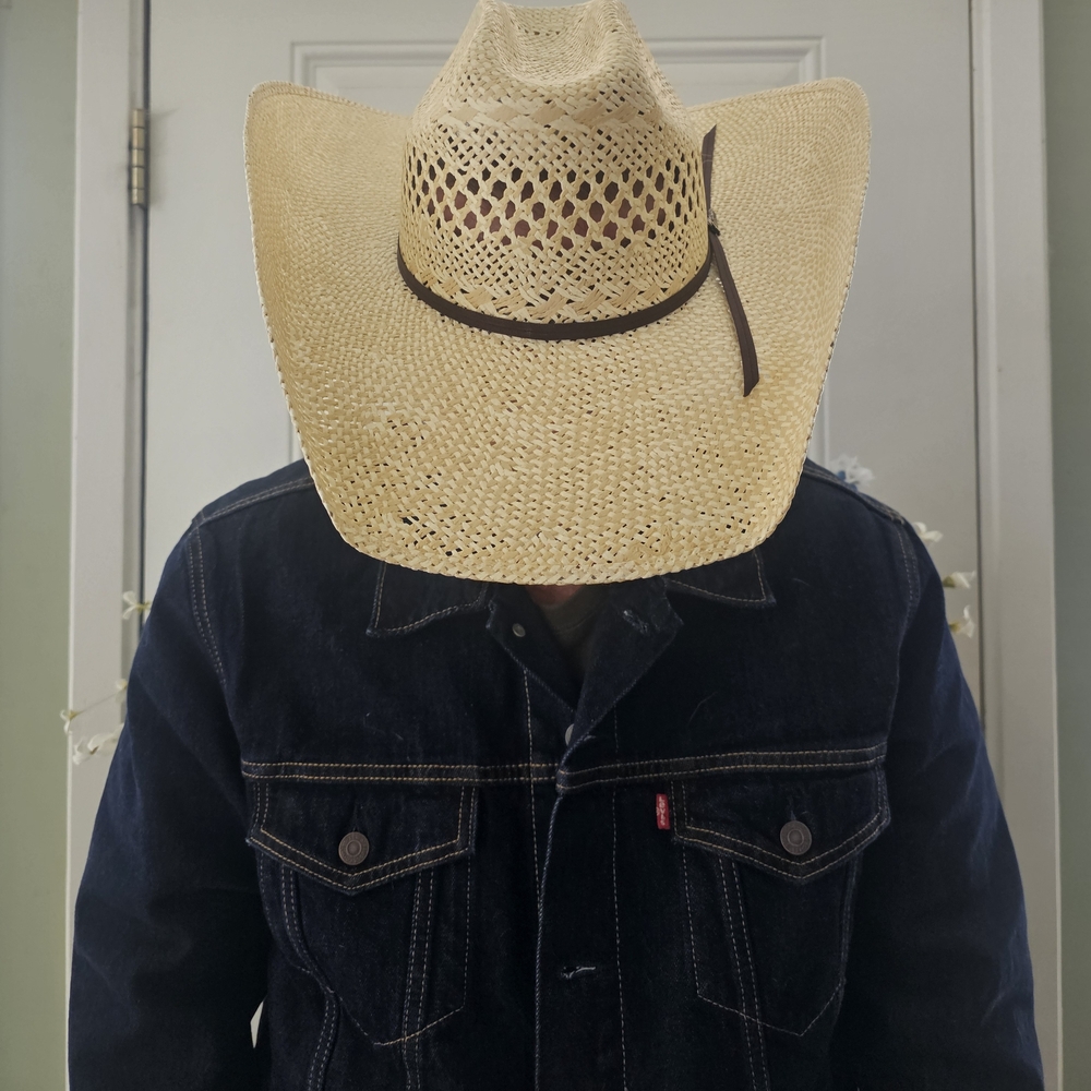 Twister Men's Beige Cowboy Hat